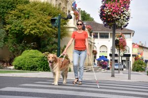 Woman with a vision impairment uses the crosswalk with her service animal