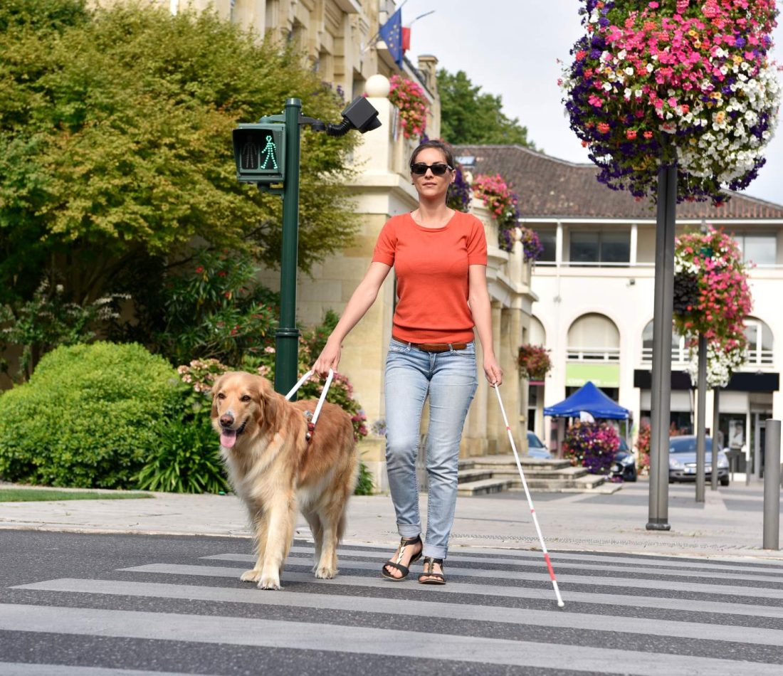 Woman with a vision impairment uses the crosswalk with her service animal